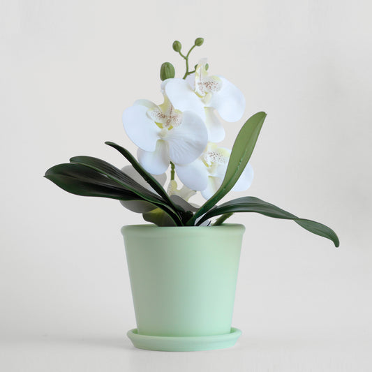 Classic Planter with Saucer - basic