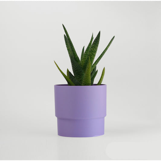 Stepped Cylindrical Planter - basic (premium)