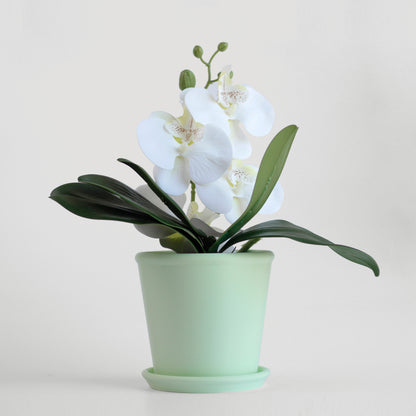 Classic Planter with Saucer - basic