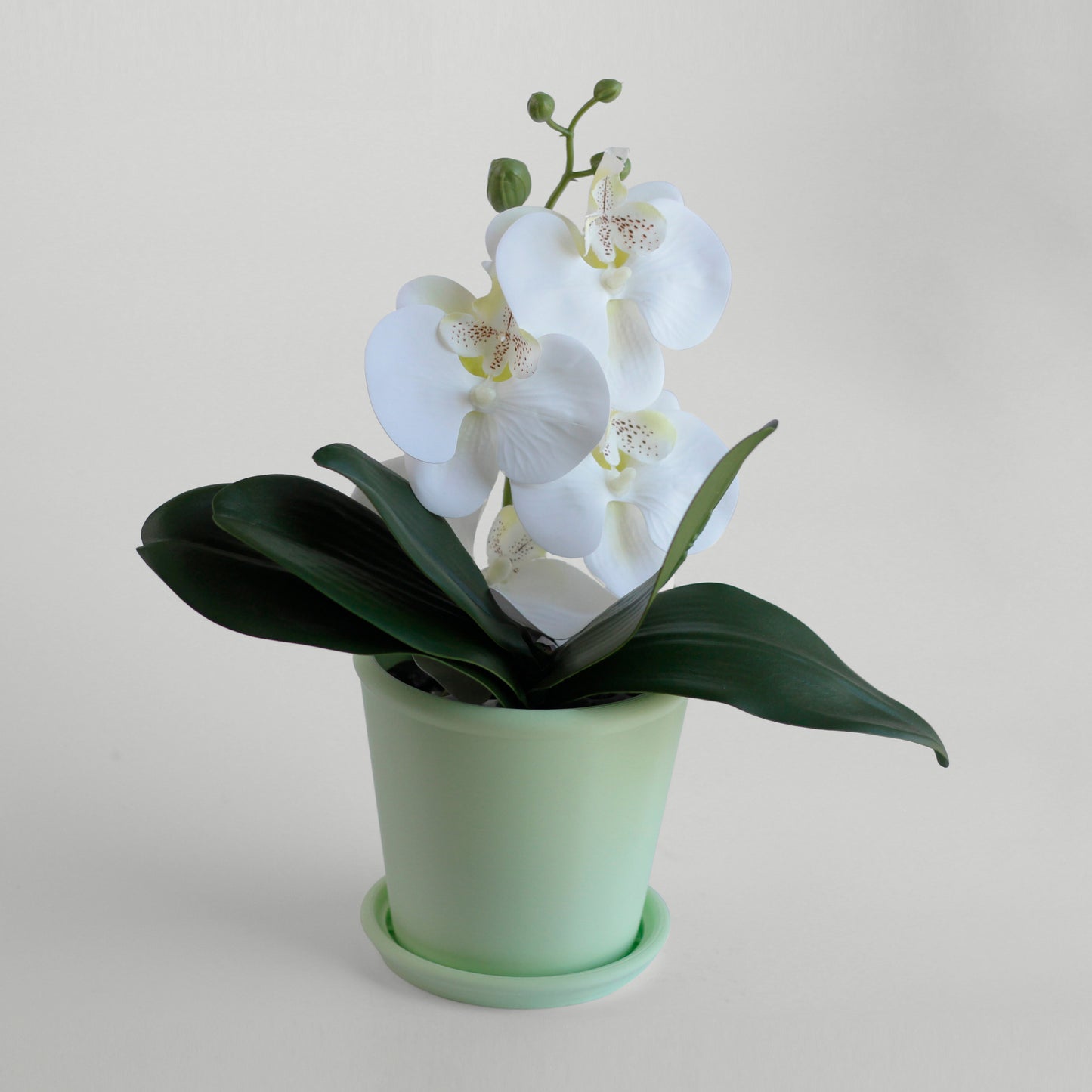 Classic Planter with Saucer - basic
