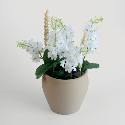 Classic Pottery Planter - basic