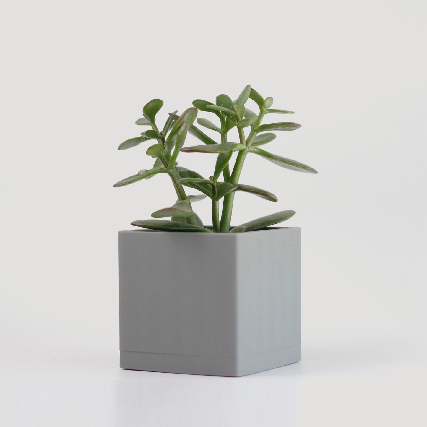 Square Planter - basic