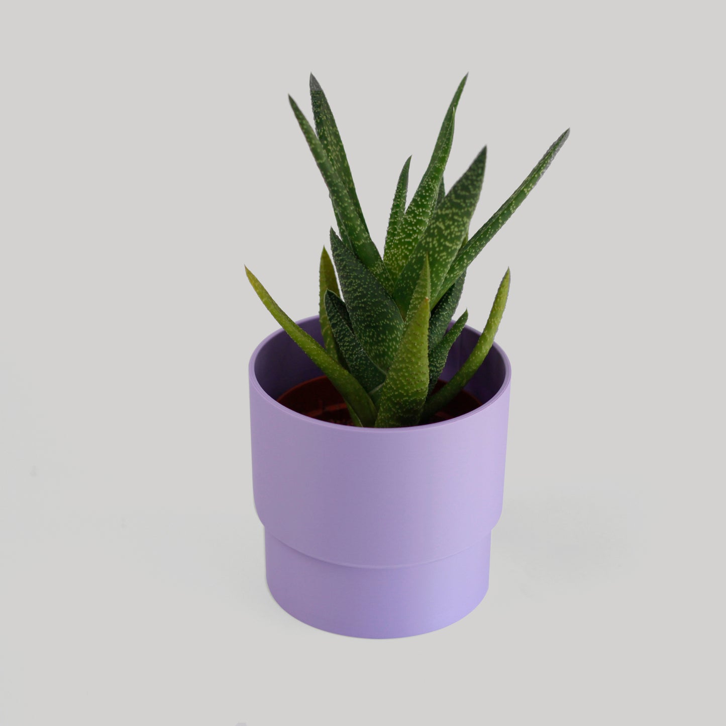 Stepped Cylindrical Planter - basic (premium)